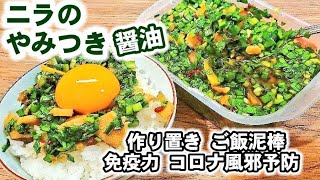 流行りのニラ醤油漬け 大人気 ご飯がススムくん Tkg ご飯のお供 作り置きレシピ 常備菜 にら大量消費 万能だれ 卵かけごはん 免疫力up Youtube