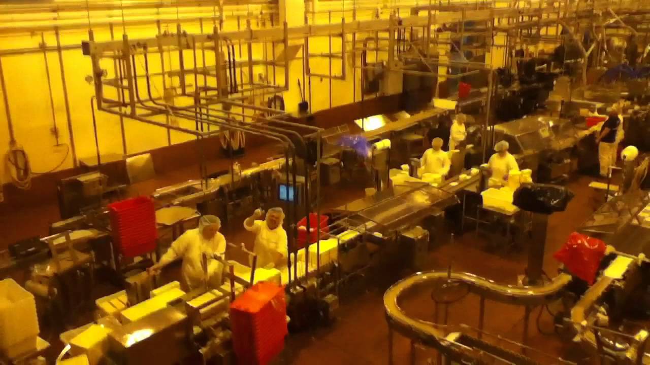 Tillamook Cheese Factory YouTube