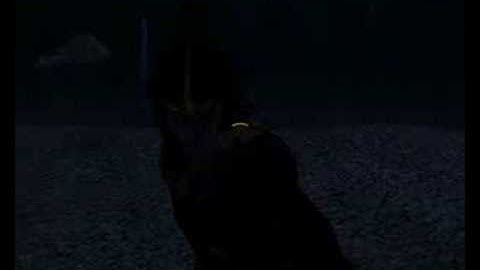 Oblivion FCOM Convergence fight