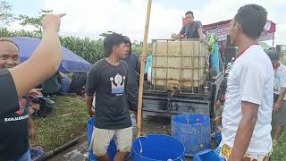 Download Lagu Hanya Satu by Keroncong Joglo 7 MP3