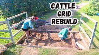 Cattle Nor Vehicles Could Cross Our Grid, Time For An Overhaul!!