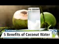5 Benefits of Coconut Water