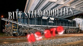 Ns 879 Bite Sized Oddities Pt2