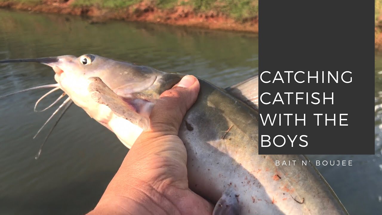 Catching Catfish in Oklahoma Neighborhood ponds YouTube