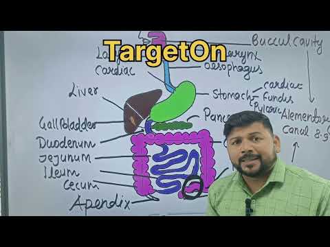 अपेंडिक्स !कितना खतरनाक हो सकता है ?#biology #science #knowledge #education #motivation #animallover