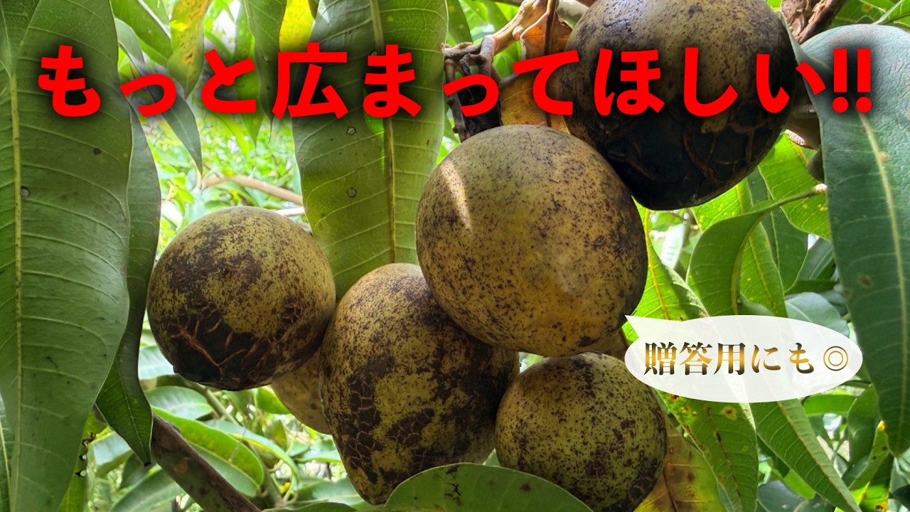 I want this to become popular in Japan! This small, super-sweet
