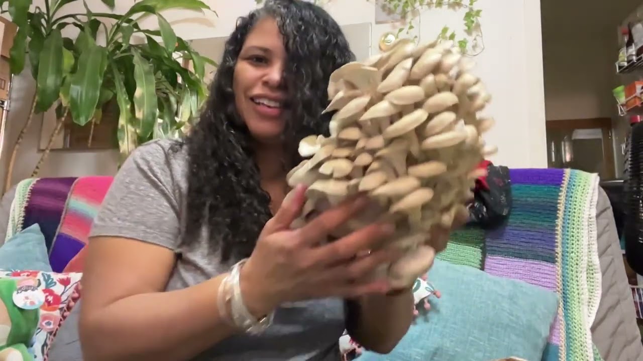 How Much Does A Mushroom Weigh