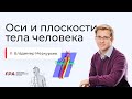 Оси и плоскости тела человека | Владимир Меркурьев (FPA)