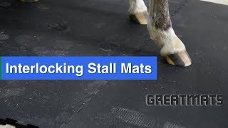 Interlocking Stall Mats for Horses - Shop Stall Mats Now: https://www.greatmats.com/horse-stall-mats.php

Interlocking stall mats take the work out of maintaining a stall. 

With no seams and no shifting, these American-made, custom sized stall kits stay as flat as the day you laid them - so you can spend more time enjoying your horse and less time worrying about their footing. 

At Greatmats, you can even find portable interlocking stall mats for trailers and show stalls that are lightweight and durable. 

#GreatHorseFloor