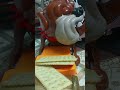 ⚠️Beware of snoring Mad Dog don't try to steal he's Guaili Black truffle #asmr #viral #ytshort