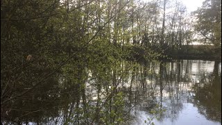 Radio, work and pond fishing by Stewart Bloor 161 views 13 days ago 4 minutes, 28 seconds