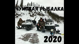 Рыбалка ХАРИУС 2020г.Чумовая поездка 2.Рыбалка БОМБА!! Теплая зимняя палатка.На снег. Polaris lx