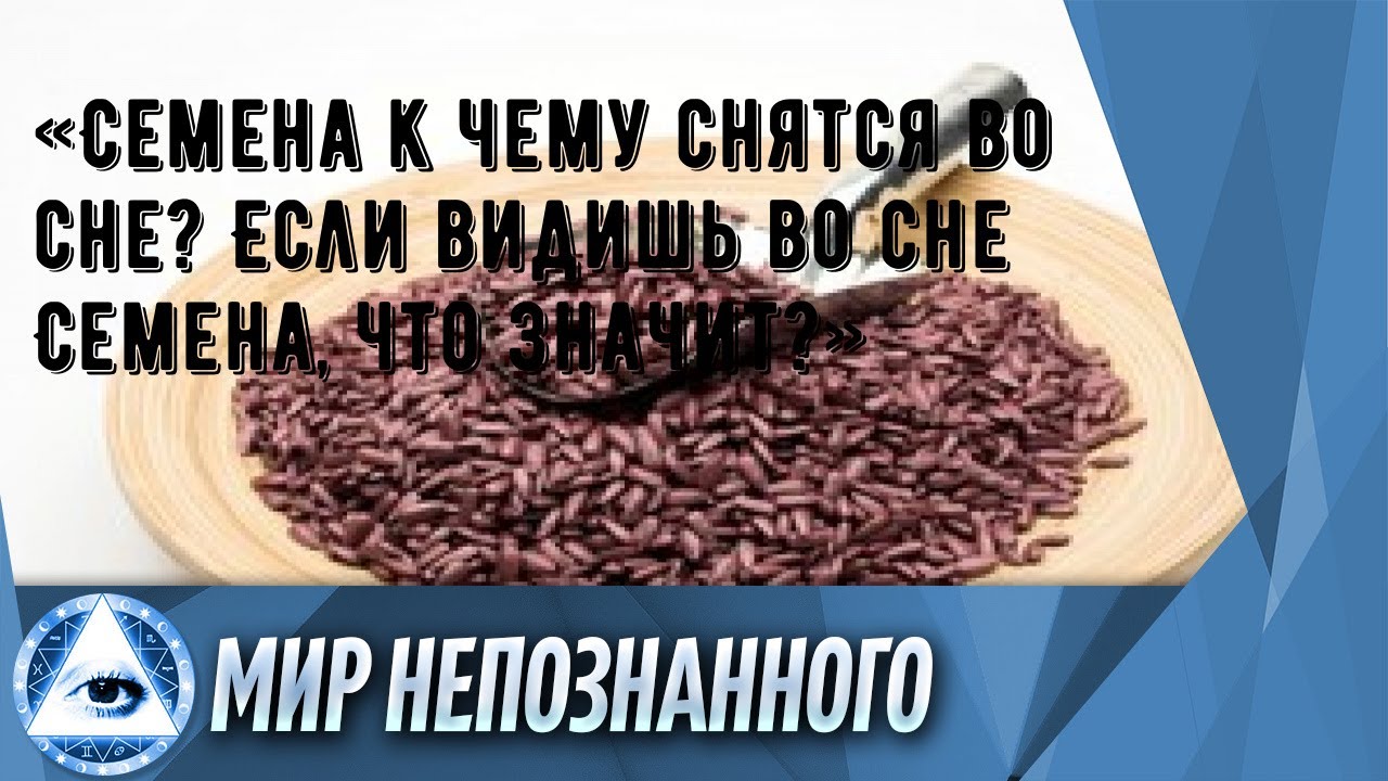 «Семена к чему снятся во сне? Если видишь во сне Семена, что значит?»