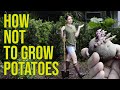 How not to grow potatoes   no dig method using wood chips