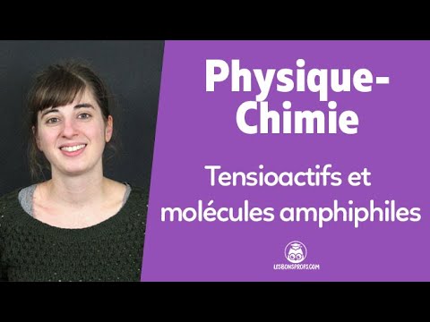 Vidéo: Qu'est-ce qu'un simple hydrophile?