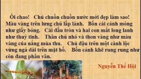 LTVC (lớp 4) Chủ ngữ trong câu kể ai thế nào?