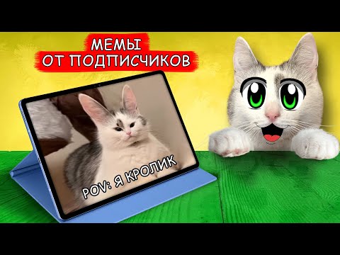 Видео: СМОТРИМ ВАШИ МЕМЫ ! Реакция на СМЕШНЫЕ МЕМЫ от ПОДПИСЧИКОВ! ЧТО ТВОРЯТ КОТ МАЛЫШ и КОШЕЧКА МУРКА