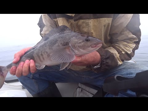 Рыбалка на  терпуг  Владивосток 2022