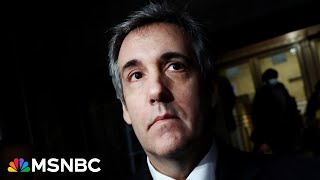 'Prosecutors understood the assignment': The people called Michael Cohen — and he answered