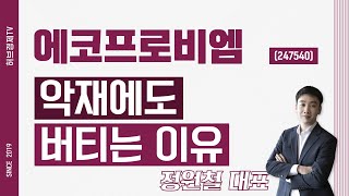 에코프로비엠 (247540) - 악재에도 버티는 이유