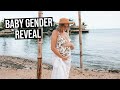 BABY GENDER REVEAL SURPRISE | How We Found Out...