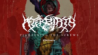 PDF Sample Tightening The Screws Track guitar tab & chords by Afterbirth.