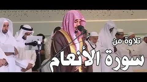 ❤تلاوة مريحة جدا لما تيسر من سورة الأنعام بصوت القارئ هيثم الدخين❤بدون إعلانات❤coran sans publicité❤
