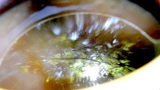 盲目の者だけにしか見えない - Only The Blind See