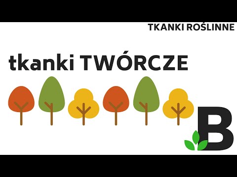 Wideo: Różnice Między Tkanką Merystematyczną A Tkanką Trwałą