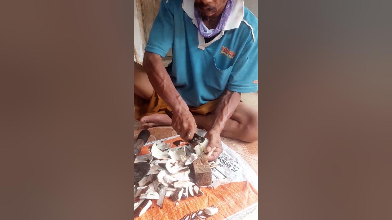 food processing from cassava harvest #shorts food processing from cassava harvest #shorts
