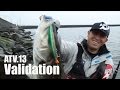 ATV.13【 VALIDATION 】RED中村 〜シーバスデイゲーム 千葉編