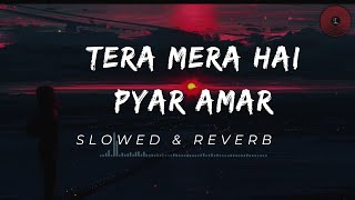 Tera Mera Hai Pyar Amar | Ishq Murshid OST | Slowed & Reverb | Best Music | Z Music Resimi