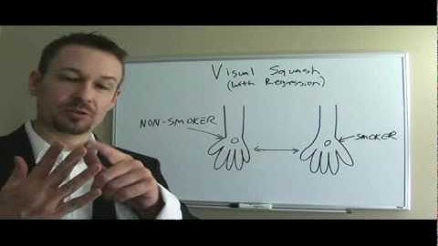 How to Use the Visual Squash Technique (NLP Practitioner Course) - Dr. Steve G. Jones