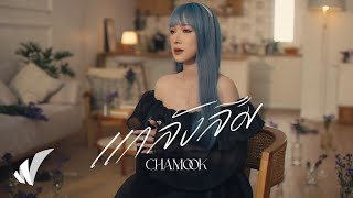 Chamook – แกล้งลืม [Official Teaser 2]