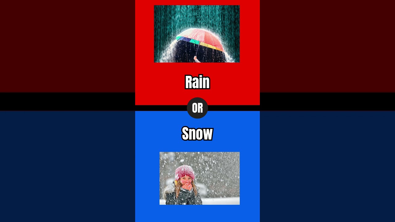 🤔 What Would You Rather Do? 