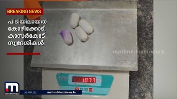 കരിപ്പൂരില്‍ വന്‍ സ്വര്‍ണവേട്ട; 3 കേസുകളിലായി 1 കോടിയിലേറെ രൂപയുടെ സ്വര്‍ണം പിടികൂടി