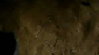 zzzzzzzzzzzzzzzzzzzzzzzzzzzzzzzzzzzzzzzzzzzzzzzzzzzzzzzzzzzz