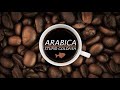 Stupid Goldfish - Arabica