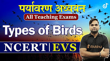 NCERT EVS Types of Birds | Environmental Studies Types of Birds | CTET / UPTET / REET / BIHAR TET...
