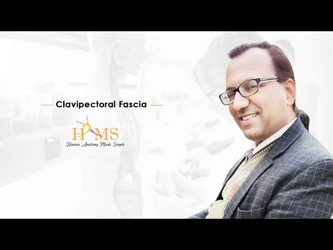 Video: Er clavipectoral fascia dyp fascia?