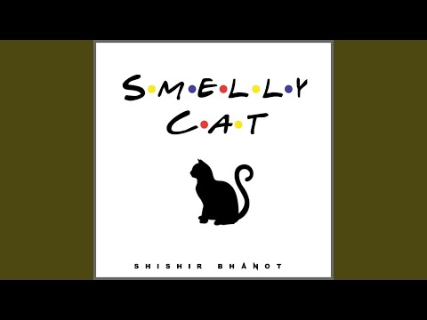 Shishir Bhanot - Smelly Cat mp3 zene letöltés