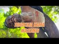 Mdogo Sajent Chino Kidd Feat Deester Za Mfana Kah Gogo Tunakuja Dance Video Chinokidd Fyp Mdogo Sajent Chino Kidd Feat Deester Za Mfana Kah Gogo Tunakuja Dance Video Chinokidd Fyp