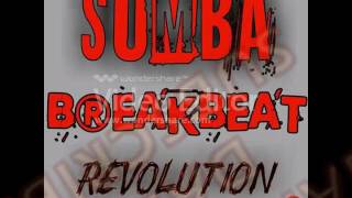 akimilaku_wrecking ball by HANS REMIXER 56 REVOLUTION