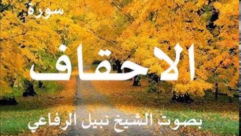 سورة الاحقاف بصوت الشيخ / نبيل الرفاعي 46