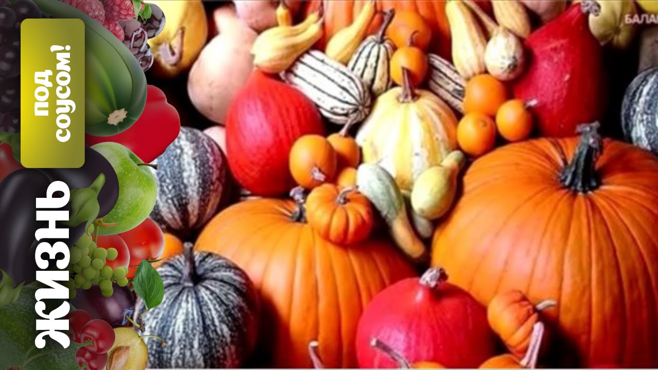 Жизнь под соусом: тыква на первое, на второе и на десерт