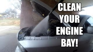 How to CLEAN your Engine Bay for a FEW BUCKS!!! - DIY