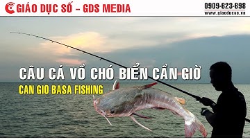 Câu cá vồ chó biển Cần Giờ