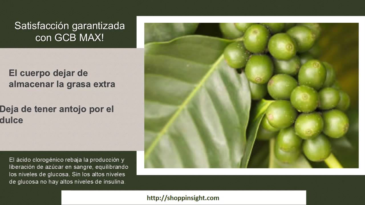 píldoras de extracto de café verde uk píldoras de extracto de café verde uk