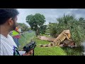 Iguana Removal Job!! Benjamin Kratos Pcp Air Rifle Urban iguana Hunting!!