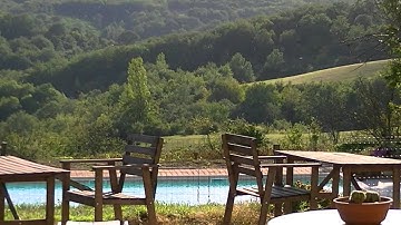 Zwaluwen drinken uit zwembad